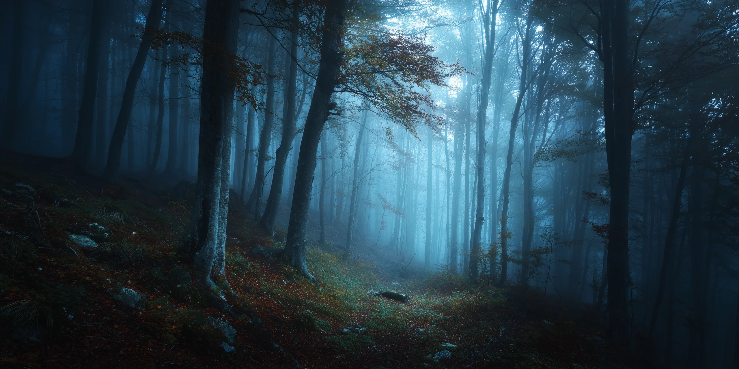 Gruseligster Wald der Welt im Nebel, Hoia-Baciu